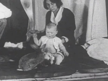 Korkuyu Doğuştan mı Biliriz, Yoksa Sonradan mı Öğreniriz? (Albert Deneyi)