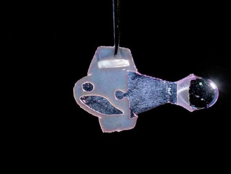 İnsan kalbi hücreleriyle çalışan robot balık geliştirildi