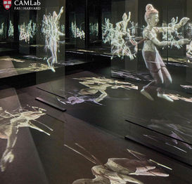 Cave Dance Project/Performance/Visual&Motion 002