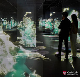 Cave Dance Project/Performance-VFX