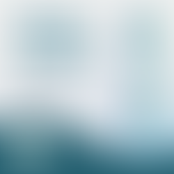 250927 [월요가 원데이] 벽은 움직이지 않지만, 당신의 삶은 움직입니다.