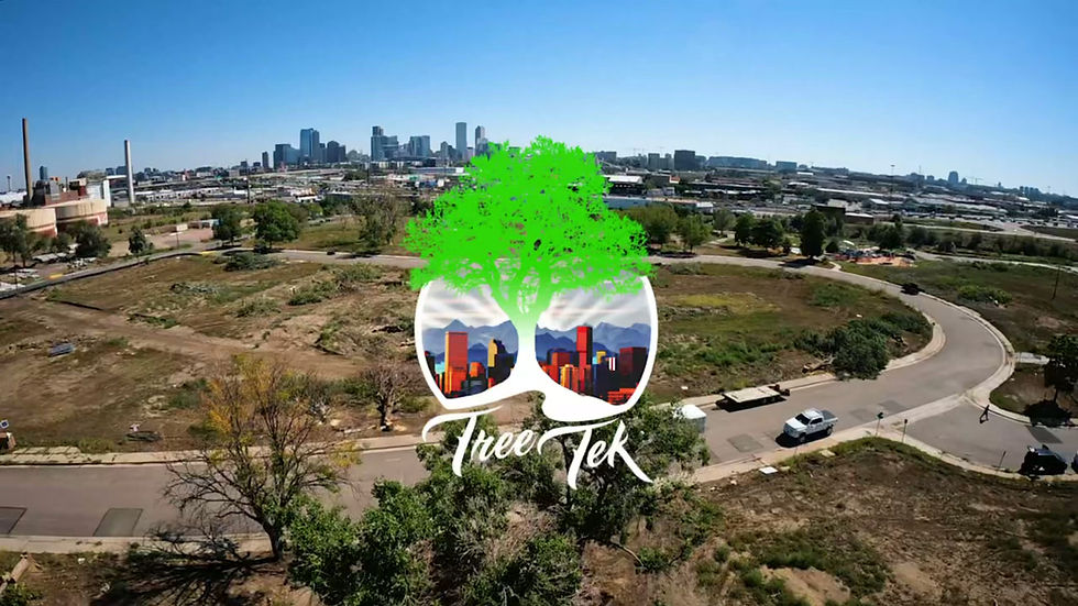 TREETEK INTRO VIDEO.mp4