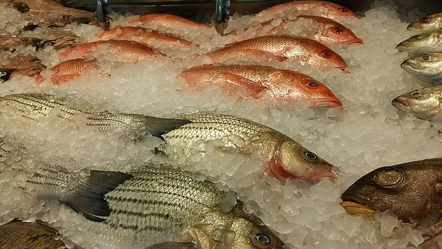 Условия и сроки хранения рыбы