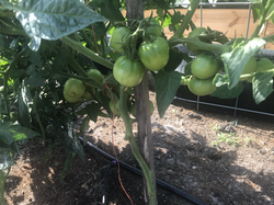 6F28F556-C22D-4EFD-AC37-DA870BB91D54