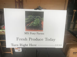 G8K86tPCT0y%IqmypBbMhg