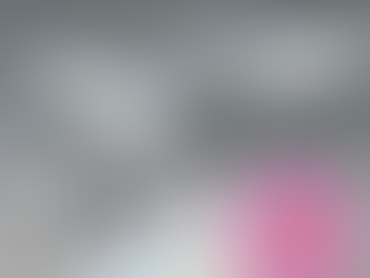 Peyote cactus seeds uk