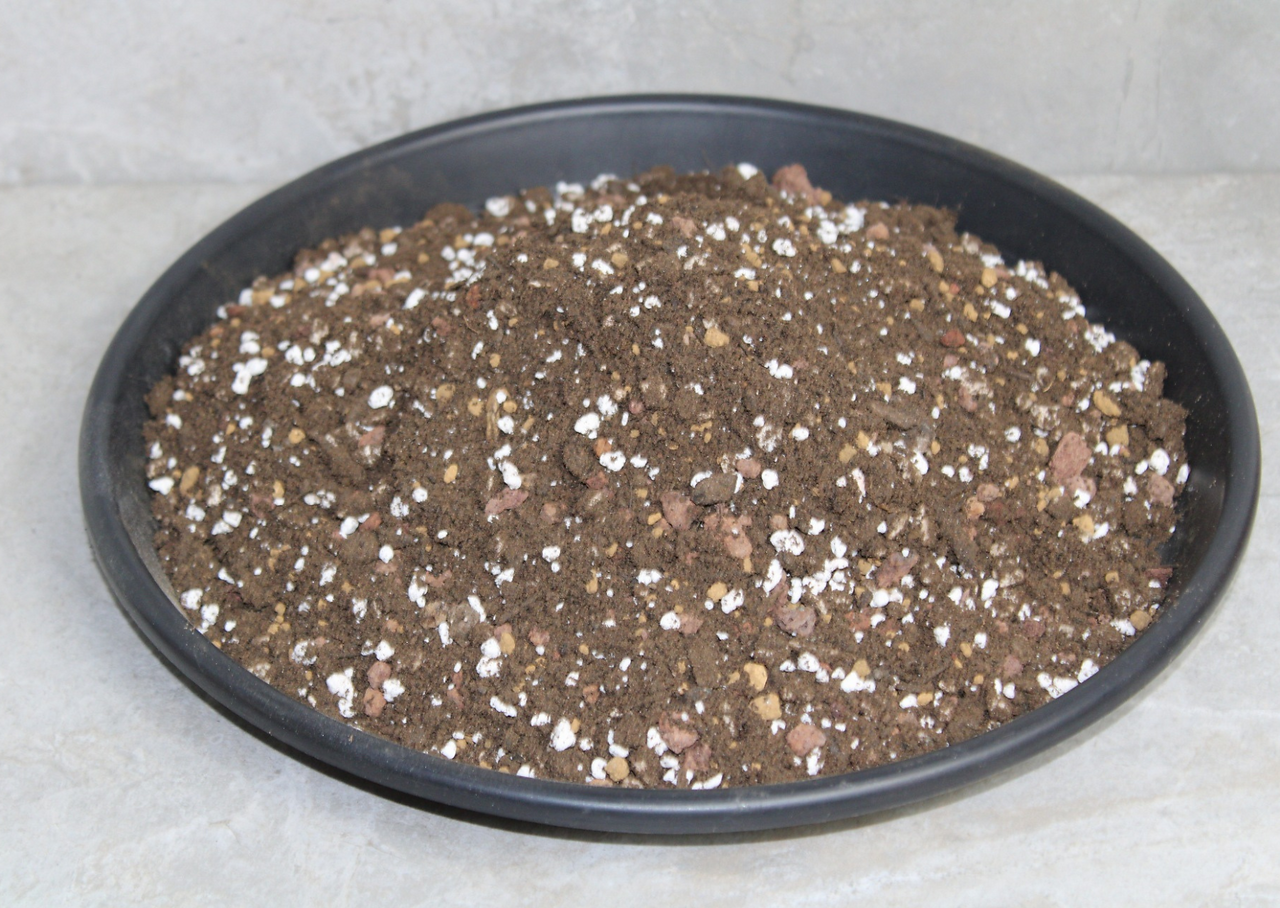 Cacti soil mix