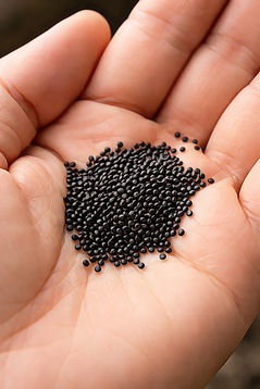 ChatGPT Image Jan 21, 2026, 09_05_05 PM.jpg