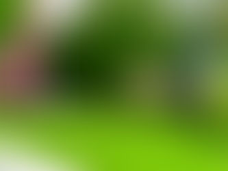 Jak správně provádět sekání trávy – tipy pro dokonalý trávník