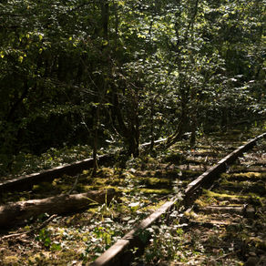 Les rails du camp militaire