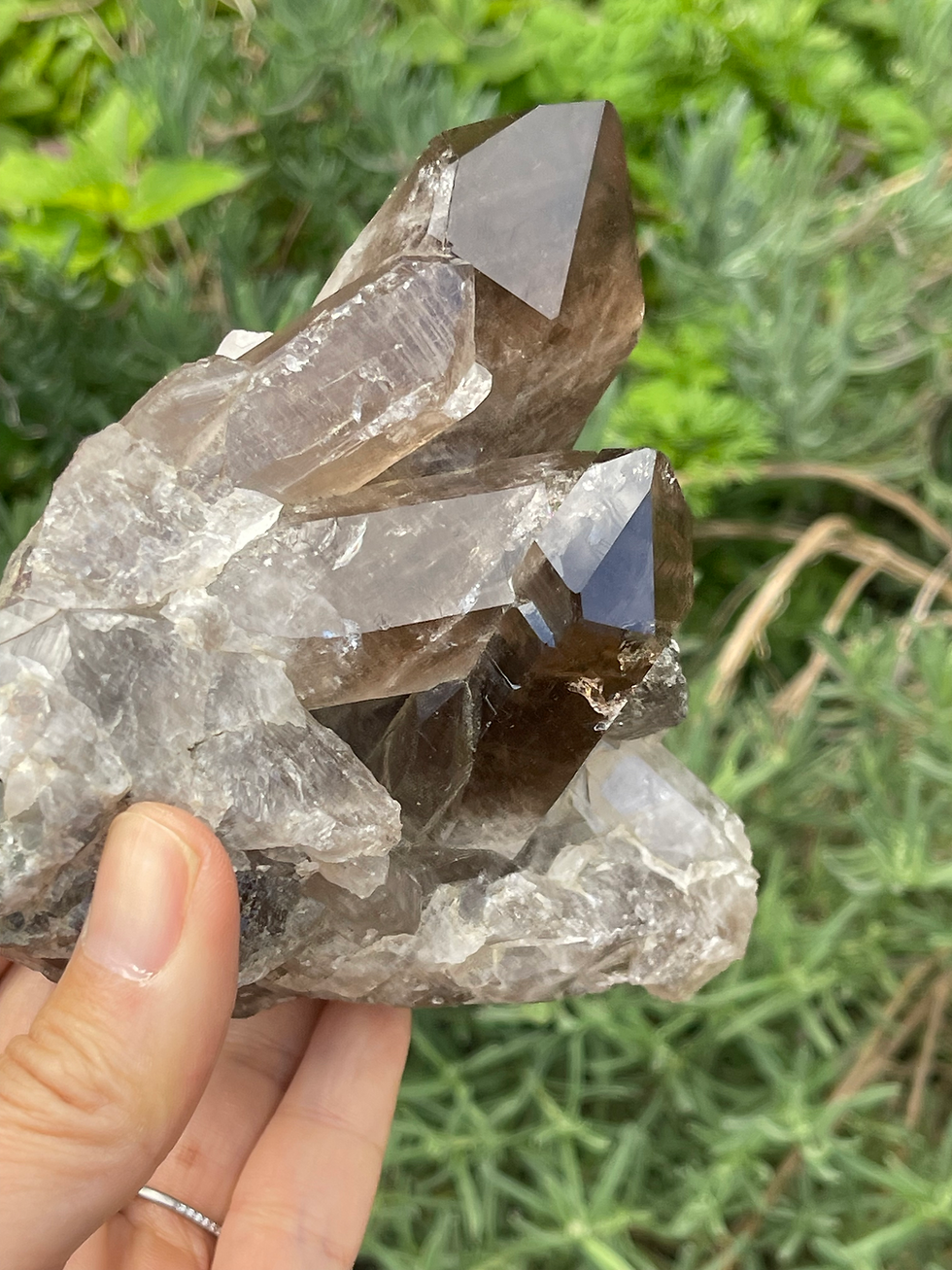 Thumbnail: No.17  スモーキークオーツクラスター　Smokey  Quartz Cluster