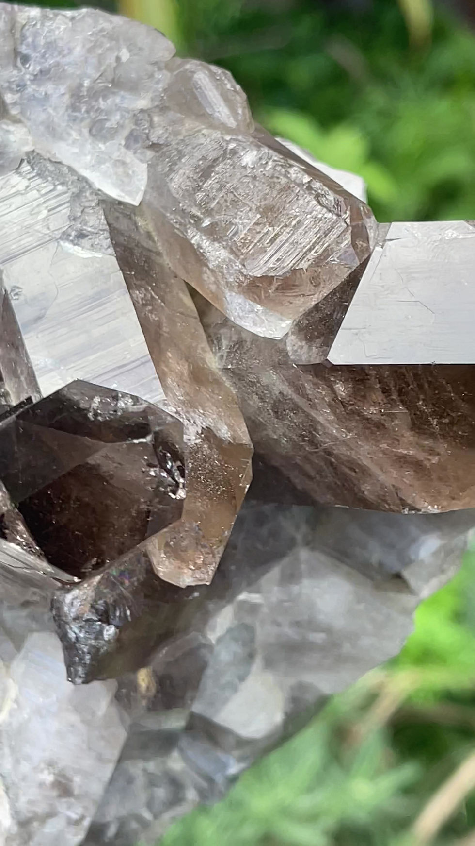 Thumbnail: No.17  スモーキークオーツクラスター　Smokey  Quartz Cluster