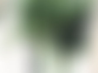 水と光は最重要