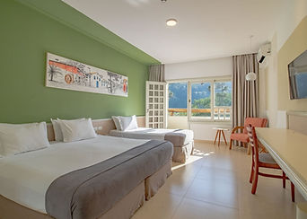 Premier vista(1).jpg