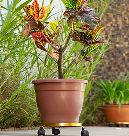 suporte rasteiro rodizio