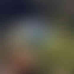 Eventos na Natureza Villagio Embu