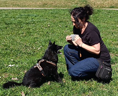 WhatsApp Bild 2025-04-05 um 16.32_edited