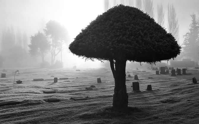 Morte - Uma trajetória sentimental pela mente