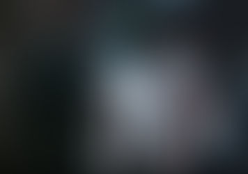 A Petulante Mosca e o Erro da Ignorância