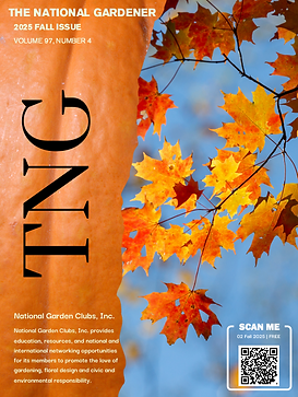 Screenshot 2025-11-01 132023.png