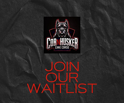 JOIN OUR WAITLIST_edited.jpg