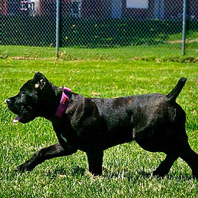 Messenger_creation_E2AF1CA4-1272-4100-9630-6D7C86770312 (1)_edited.jpg