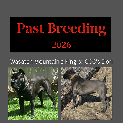 dori 2026 past breeding.png