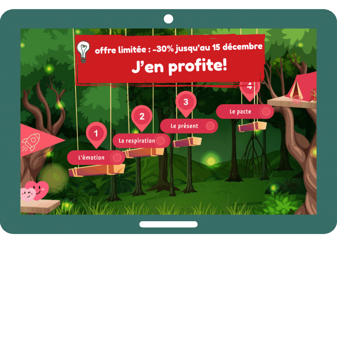 pub facebook camp des régulateurs émotionnels (2).gif