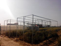 Picture1.jpg