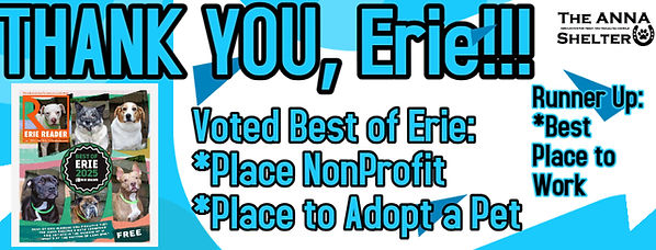 Computer Repair Service Ad.jpg