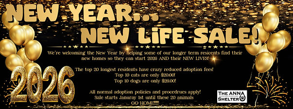 New yearchristmasevent 2026 (1).jpg