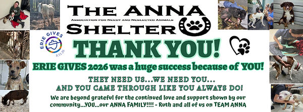 Copy of Dog Shelter Rescuer Facebook Cover template (4) (3).jpg