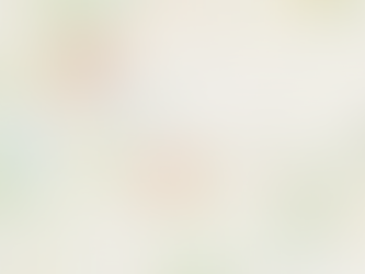 In the middle of the triangle of 3 capitals: Vienna-Budapest-Bratislava