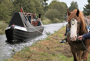 Packet boat pulled by Hosre