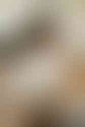 Austin Texas brand & Lifestyle photographer