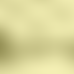 VOORDAT JE GAAT STEMMEN