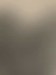 ALEID VAN KLEEF, EERSTE GRAVIN VAN HOLLAND