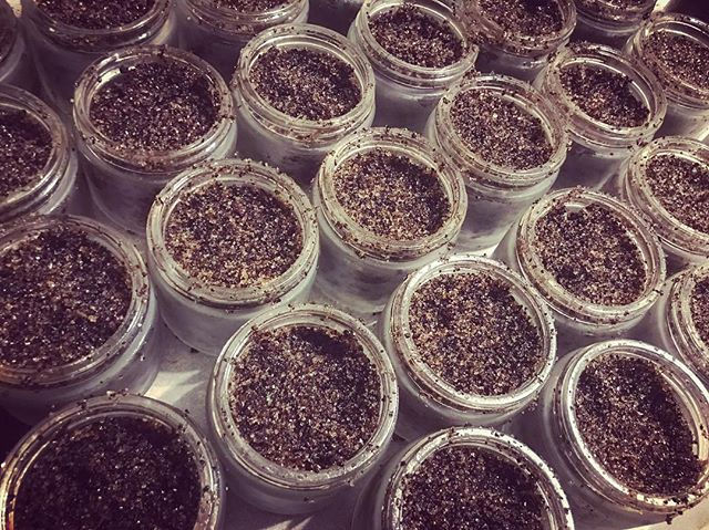 Thumbnail: Black Jack Coffee Scrub