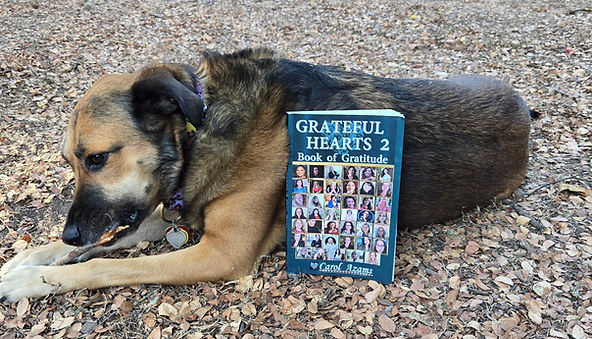 dog book.jpeg