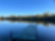 IMG-20231111-WA0007.jpg
