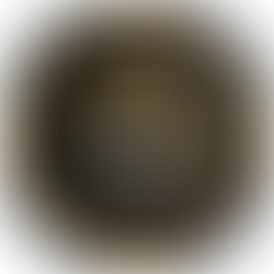 We’re Honoured to Be Named #1 at the 2026 Wedding Industry Awards– Hunter Valley & Newcastle! 🎉💍