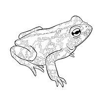 Photo Mar 19 2024, 7 40 45 PM (12).jpg