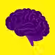 cono de cerebro Hommik.