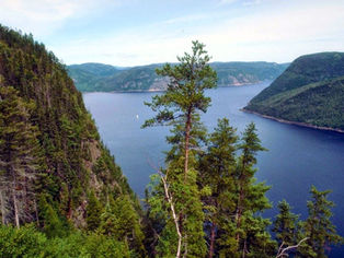 Découverte du parc national du Fjord du Saguenay en hiver: Activités incontournables