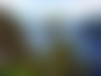 Découverte du parc national du Fjord du Saguenay en hiver: Activités incontournables