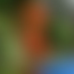 Les meilleures activités touristiques à Rivière Éternité cet automne