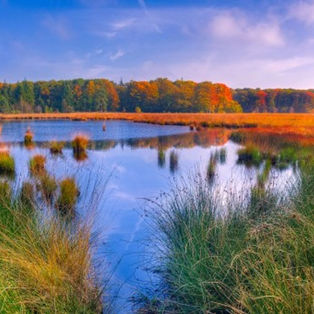 5 Activités Incontournables cet Automne autour de Rivière Éternité et L'Anse Saint Jean