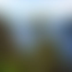 Découvertes Hivernales : Explorez le Fjord du Saguenay en Hiver