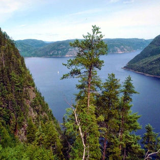 Découvertes Hivernales : Explorez le Fjord du Saguenay en Hiver