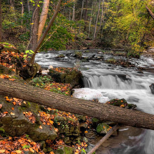 Les activités incontournables à Rivière-Éternité et l'Anse-Saint-Jean cet automne